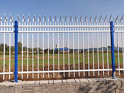 ����п�ֻ���