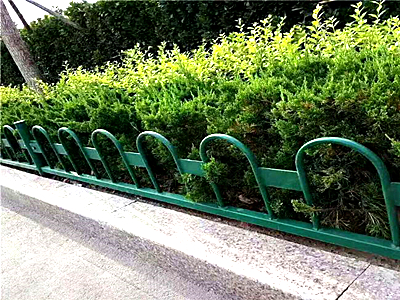 �Ͼ���ƺ����ͼƬ3