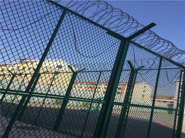 ɽ�����ϼ���������